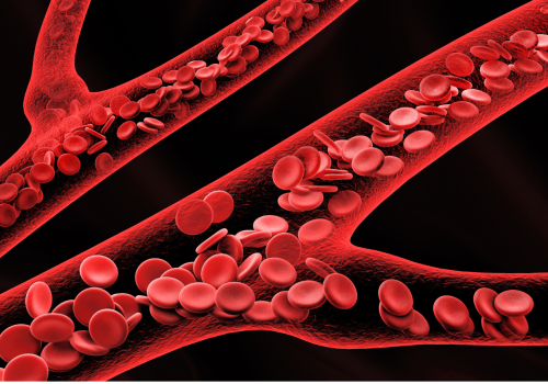 Untitled (720 x 720 px) (12)