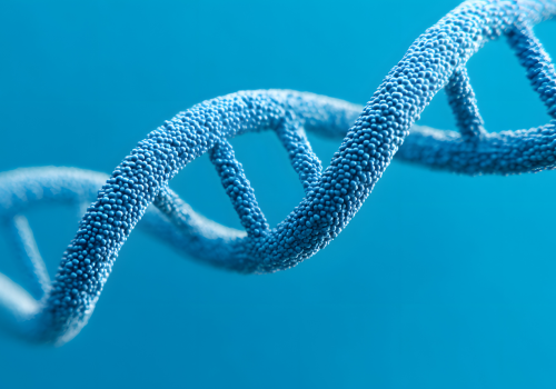 Untitled (720 x 720 px) (13)