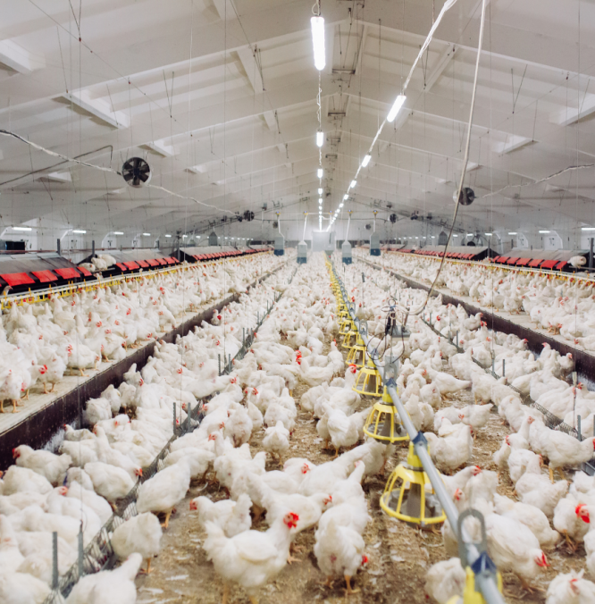 Untitled (720 x 720 px) (3)