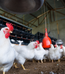 Untitled (720 x 720 px) (8)